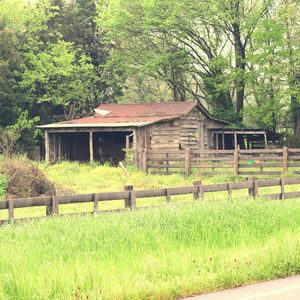 Meet your Posher, JJ